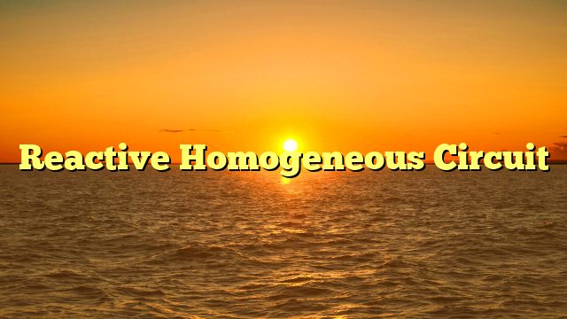 Reactive Homogeneous Circuit